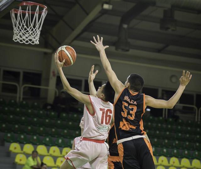  篮球青训体系完善输送人才源